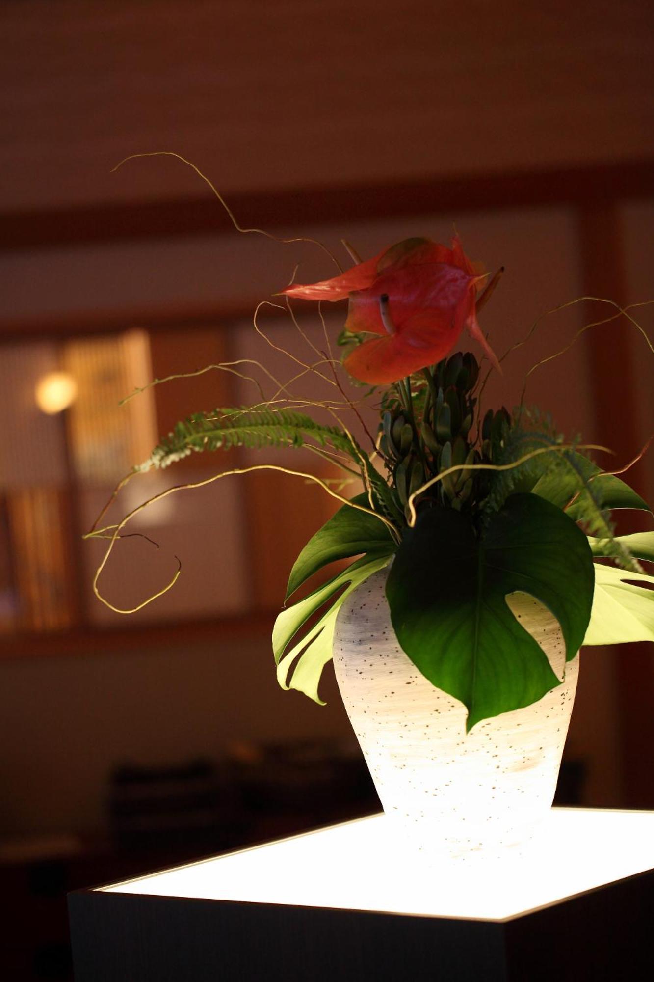 Kyo Yunohana Resort Suisen Kameoka Экстерьер фото
